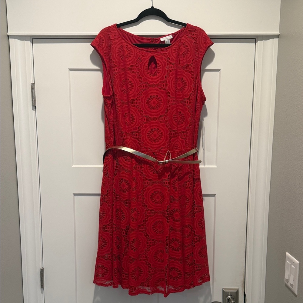 London Times Red Lace Fit-and-Flare Dress with Gold Belt